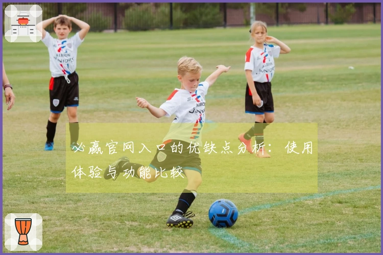 必赢官网入口的优缺点分析：使用体验与功能比较