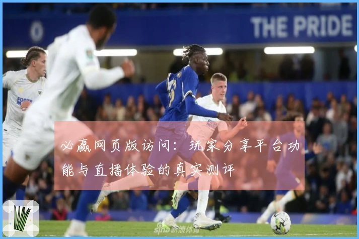 必赢网页版访问：玩家分享平台功能与直播体验的真实测评
