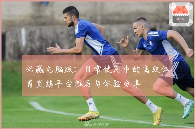 必赢电脑版：日常使用中的高效体育直播平台推荐与体验分享