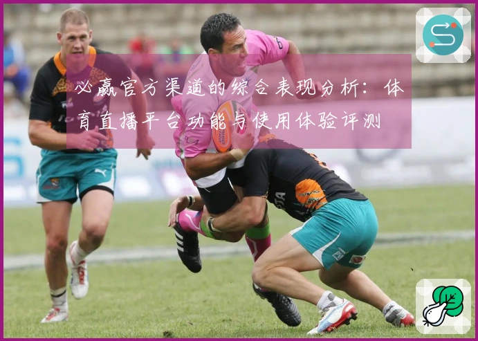 必赢官方渠道的综合表现分析：体育直播平台功能与使用体验评测