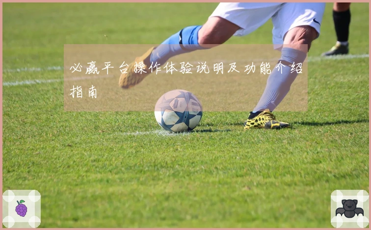 必赢平台操作体验说明及功能介绍指南