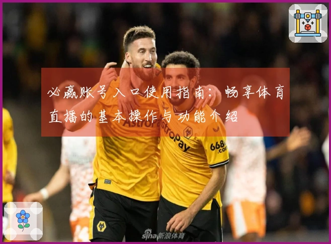 必赢账号入口使用指南：畅享体育直播的基本操作与功能介绍